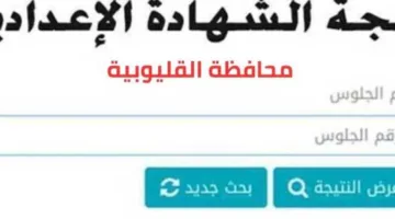 رابط نتائج الصف الثالث الإعدادي في محافظة القليوبية 2025 للفصل الدراسي الثاني وطريقة الاستعلام (عند ظهورها)