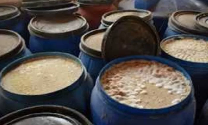 إتلاف 5.5 طن من المخللات الفاسدة وجبنة رومي غير معروفة المصدر في البحيرة