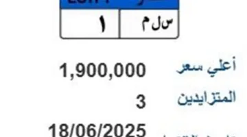 مزاد على لوحة سيارة فريدة بسعر مليون و900 ألف جنيه “س ل م- 1”