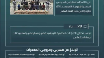 دوريات حرس الحدود في عسير تمنع 18 مخالفًا لنظام الأمن من تهريب 270 كيلوغرامًا من نبتة القات المخدرة