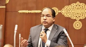 نائب برلماني: القيادة السياسية أسست أساسيات الأمن والاستقرار