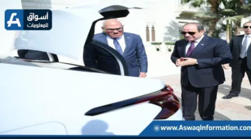 الرئيس السيسي يزور مركبات “سيتروين” المصنعة في مصانع “العربية للتصنيع” | فيديو