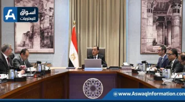 “مدبولي” يراقب سير تنفيذ خطة الإصدارات الحكومية في مجالي البترول والقطاع العام.
