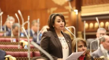 نائبة برلمانية: القيادة السياسية تواصل تقدمها بثبات في التصدي للتحديات الأمنية والاقتصادية والإقليمية