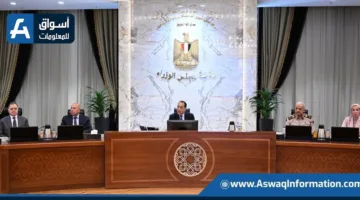 زيادة الدعم والرواتب.. مجلس الوزراء: الموازنة الجديدة تُركز على المواطن كأولوية | إنفوجراف