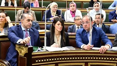 المستشار محمود فوزي يشارك في الجلسة العامة لمجلس النواب حول ميزانية 2026 المستشار محمود فوزي يشارك في الجلسة العامة لمجلس النواب حول ميزانية 2026