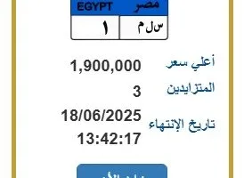 «سلم 1».. مزاد حامي على رقم لوحة سيارة فريد