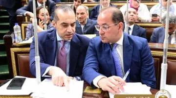 البرلمان يستعرض ميزانية التحول الاقتصادي.. ووزير الشؤون النيابية في صميم الجلسة التشريعية