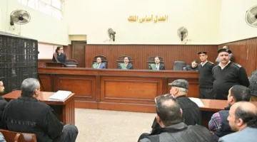 الحكم بالمؤبد على شقيقين بتهمة قتل ابن عمهم في القليوبية