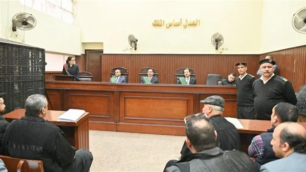 الحكم بالمؤبد على شقيقين بتهمة قتل ابن عمهم في القليوبية