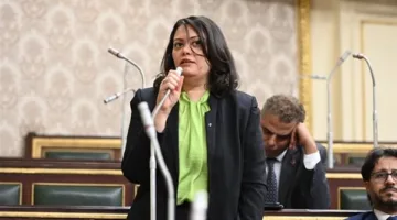 “نائبة التنسيقية” تدعو الحكومة إلى تنفيذ سياسة تقشف في الميزانية العامة