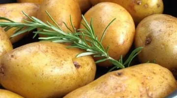 الجريدة الرسمية تصدر قرارًا بوقف تصدير البطاطس من عدة شركات إلى مجموعة من الدول.