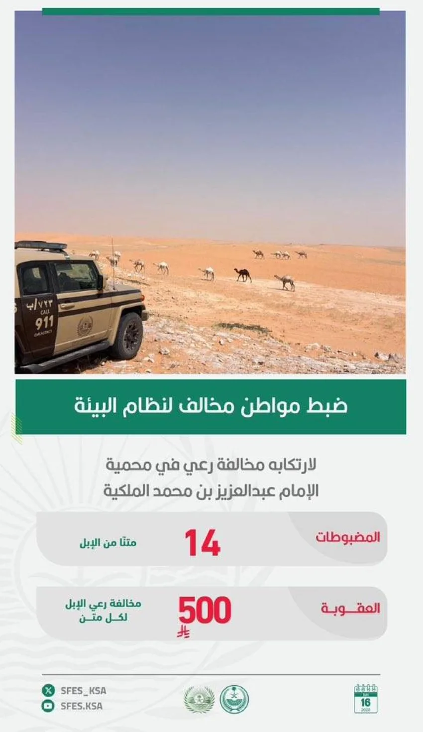 إلقاء القبض على مواطن انتهك قانون البيئة من خلال الرعي في المحمية إلقاء القبض على مواطن انتهك قانون البيئة من خلال الرعي في المحمية