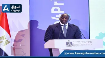 منذ عام 2020.. “التمويل الدولية”: جمعنا استثمارات وتمويلات للقطاع الخاص في مصر بقيمة 4 مليارات دولار.