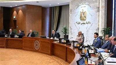 متحدث الحكومة: لجنة الأزمات تراقب التصعيد في المنطقة وتطبق استراتيجيات وقائية لحماية مصر