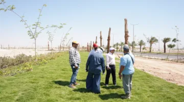 رئيس جهاز مدينة سوهاج الجديدة يراقب تحسين حديقة ميريت وزراعة الأشجار على طريق المطار