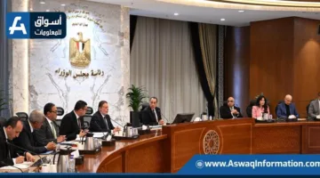 رئيس الوزراء يطلب من محافظ البنك المركزي اتخاذ خطوات لتسهيل إجراءات تصدير الممتلكات العقارية.
