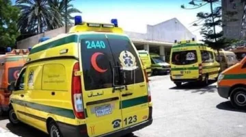 16 شخصًا مصابون في حادث انقلاب ميكروباص على طريق القاهرة – الفيوم