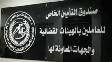 دفعة إضافية من المستحقات المالية للعاملين بالهيئات القضائية والجهات المساندة لها