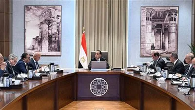 الحكومة تتخذ خطوات استباقية لمواجهة الاضطرابات الإقليمية.. وخطة لتجنب تقليل الأحمال خلال فصل الصيف الحكومة تتخذ خطوات استباقية لمواجهة الاضطرابات الإقليمية.. وخطة لتجنب تقليل الأحمال خلال فصل الصيف