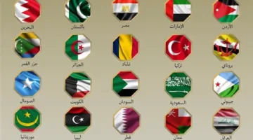 عاجل: 20 دولة عربية وإسلامية تعبر عن إدانتها للعدوان الإسرائيلي على إيران وتحث على التهدئة