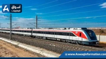 مجلس الوزراء: بدء تشغيل القطار الكهربائي السريع لنقل 2.5 مليون مسافر و33 ألف طن من البضائع يوميًا | إنفوجراف