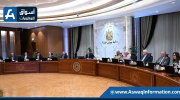 متحدث باسم الحكومة: إمكانية مناقشة تمديد مواعيد الإصلاحات الاقتصادية مع صندوق النقد الدولي موجودة
