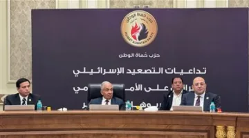 آثار التصعيد بين إسرائيل وإيران في ندوة لحزب حماة الوطن