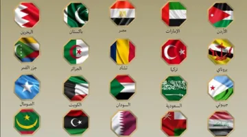 تصريح موحد لوزراء خارجية 20 دولة يدين الهجوم الإسرائيلي على إيران