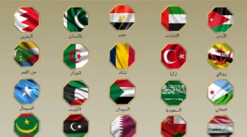 مصر و19 دولة إسلامية تؤكد على أهمية إنهاء الاعتداءات الإسرائيلية على إيران