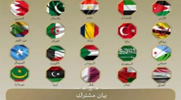 بيان موحد لوزراء خارجية الدول العربية والإسلامية حول الهجوم الإسرائيلي على إيران