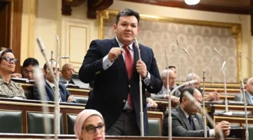 نائب التنسيقية: مصر تواجه هجمات اقتصادية منظمة.. والوقت الراهن يتطلب توحدًا وطنيًا