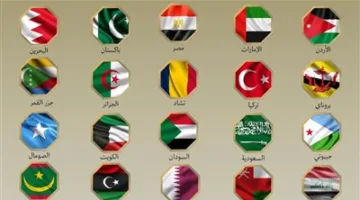 بيان موحد لـ20 وزير خارجية من الدول العربية والإسلامية: نستنكر الاعتداء الإسرائيلي على إيران.