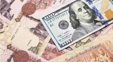 خبير مالي: الجنيه لديه فرصة للتعافي.. واستمرار السياسات المرنة هو السر لتحقيق الاستقرار