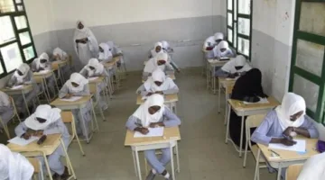 نتائج الشهادة السودانية 2025 متوفرة حالياً بالاسم والرابط الرسمي