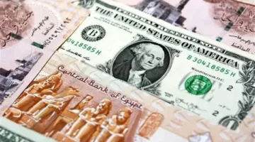 خبير مالي: الجنيه المصري يثبت قوته بشكل ملحوظ رغم الأزمات الجيوسياسية