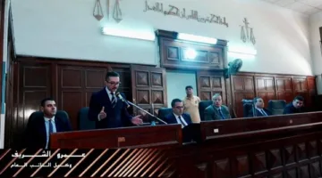 الحكم بالسجن المؤبد لسائق توكتوك و5 سنوات لشقيقه بتهمة قتل جارهما في سمنود