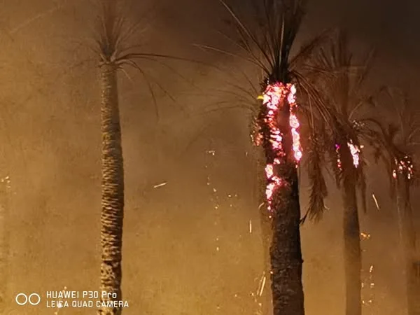 نيران ضخمة تلتهم مزرعة لنخيل في واحة سيوة بمطروح.. صور