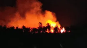 حريق ي devastate حديقة منزلين في طما بسوهاج