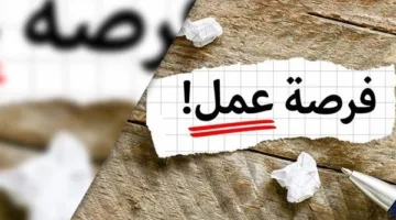 فرص عمل حديثة للشباب في الإسماعيلية برواتب جذابة تصل إلى 12 ألف جنيه