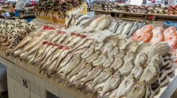 أسعار السمك والمأكولات البحرية في الغربية بتاريخ الثلاثاء 17 يونيو 2025