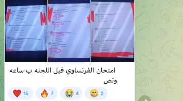 شاومينج يدعي تسريب امتحان الثانوية العامة الفرنسي قبل توزيعه في اللجان.. والتعليم: هذا ليس الامتحان الحقيقي