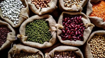 أسعار الحبوب في محافظة الغربية بتاريخ الثلاثاء 17 يونيو 2025