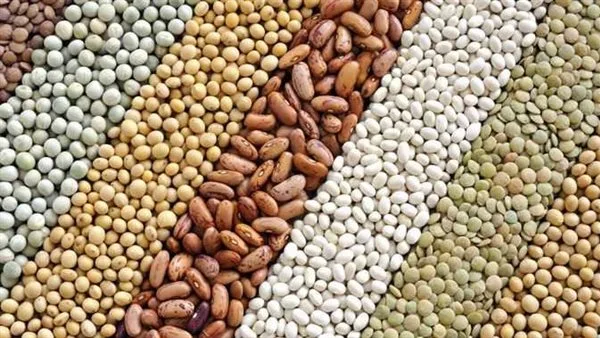 أسعار الحبوب في محافظة الغربية يوم الثلاثاء 17 يونيو 2025 أسعار الحبوب في محافظة الغربية يوم الثلاثاء 17 يونيو 2025