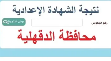 تحقق الآن برقم الجلوس: رابط نتائج الشهادة الإعدادية في الدقهلية