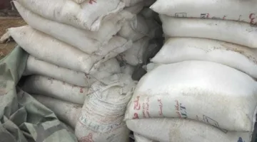 مصادرة 2 طن من ملح الطعام غير المعلن مصدره خلال حملات تفتيشية في الغربية