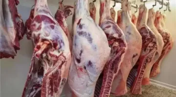 تدنّي الطلب بعد العيد.. أسعار اللحوم الحمراء والمنتجات المصنعة في أسواق بورسعيد