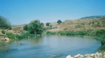 بيان من الهيئة الوطنية لنهر الليطاني: ما هي التفاصيل؟