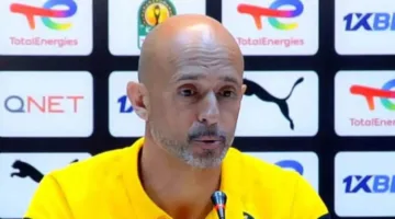 مدرب صن داونز: الوصول للمرحلة التالية في كأس العالم للأندية سيكون إنجازاً م remarkable تماً.