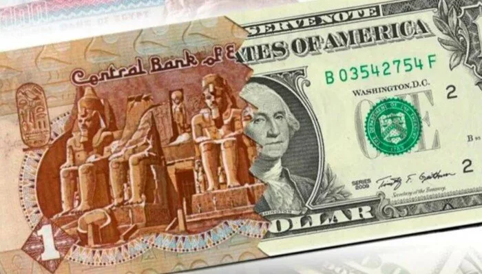 سعر الدولار الحالي: كم يبلغ في البنك الأهلي؟ سعر الدولار الحالي: كم يبلغ في البنك الأهلي؟